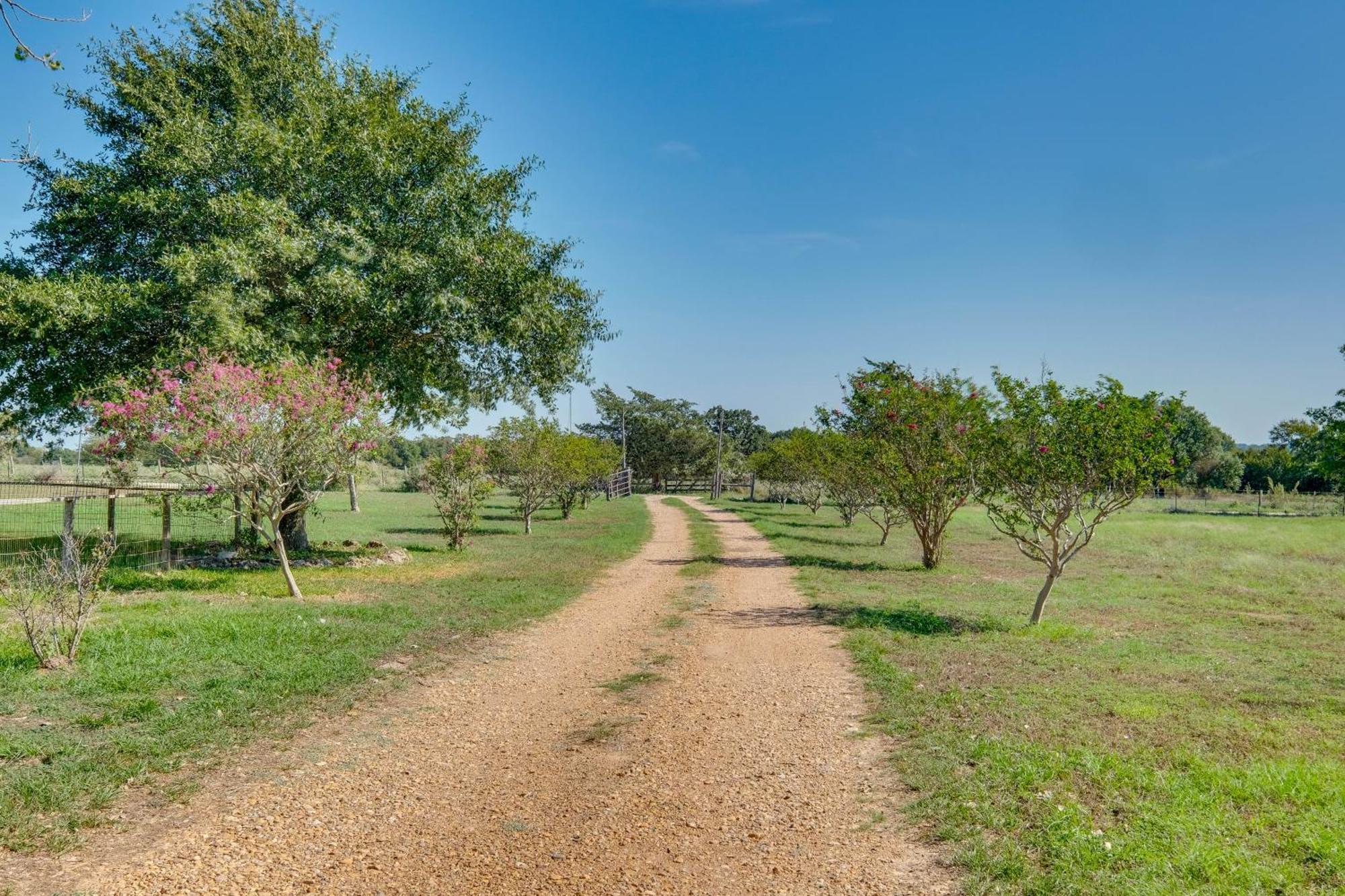 Delightful Carmine Studio On Farm Near Round Top! Exterior photo